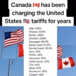 Trump Tariffs: